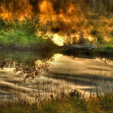 Big Fire, forest, River