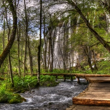 River, Plitvice Lakes National Park, trees, waterfall, Coartia, Platform, viewes