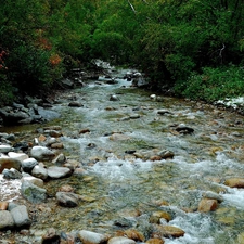 trees, Stones, River, viewes