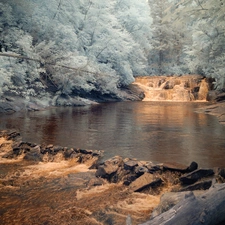 River, forest, waterfall