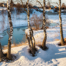 winter, birch, Houses, River