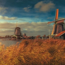 River Zaan, grass, Netherlands, Skansen, Zaandam, Houses, Windmills, Zaanse Schans