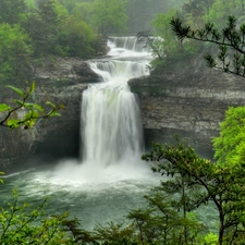 rocks, waterfall, forest