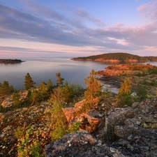rocks, Plants, Russia, trees, Karelia, Lake Ladoga, autumn, viewes