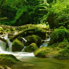 forest, River, rocks, mosses, flash, luminosity, ligh, sun, Przebijające