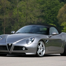 Way, viewes, Alfa Romeo 8c Spider, trees