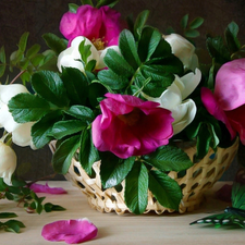 basket, wild, rose, bouquet