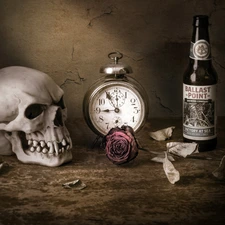 Leaf, skull, alarm clock, dry, composition, rose, Bottle