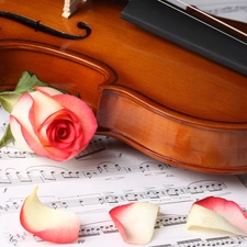 violin, Tunes, rose, Cards