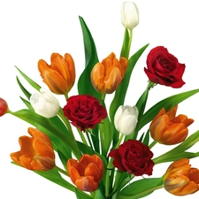 bouquet, tulips, rouge, Colorful