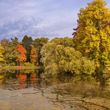 clouds, autumn, viewes, St. Petersburg, Pond - car, Park, trees, Russia, Pawlowski, bridge