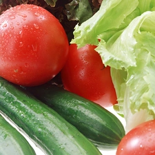 tomatoes, leaves, salads, cucumbers