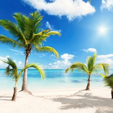 Palms, White, Sand, Beaches
