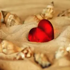 Sand, Heart, Shells