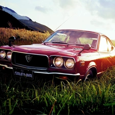 grass, Mazda RX-3, Savanna