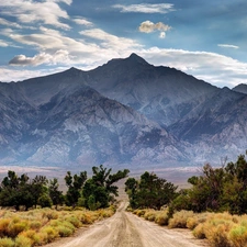 clouds, Way, scrub, Mountains