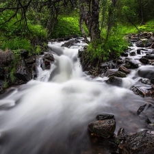 mountainous, Stones, scrub, stream