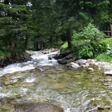 scrub, water, Stones