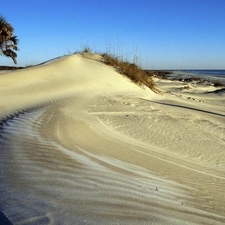 sea, Palm, Beaches, Dunes, Wild