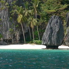 sea, rocks, Palms