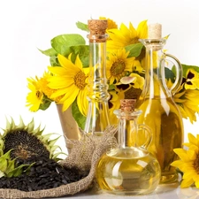 seeds, composition, Nice sunflowers, oil, gold