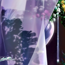 shadow, Flowers, Kagaya, curtain, graphics