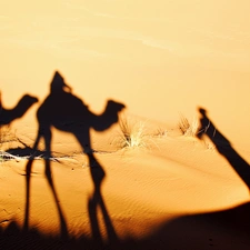 shadows, Desert, Sand