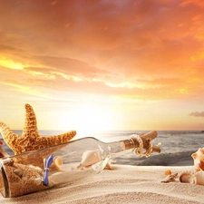 Shells, Bottle, Beaches, Great Sunsets, sea, starfish