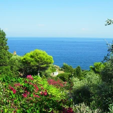 sea, VEGETATION, Sicilia, Flowers