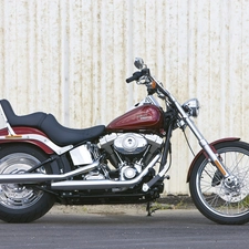 support, Harley Davidson Softail Custom, sitting