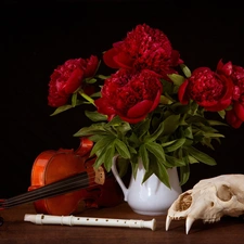 skull, compositions, Peonies, violin, Flowers