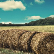 Bale, Field, Sky, straw