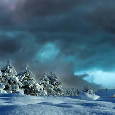 drifts, Spruces, clouds, house, dark, snow, winter, Sky