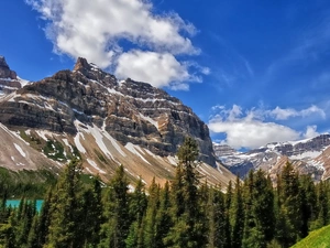 Sky, rocks, forest