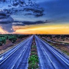 freeway, Clouds, Sky, Flowers