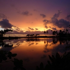 sea, Great Sunsets, Sky