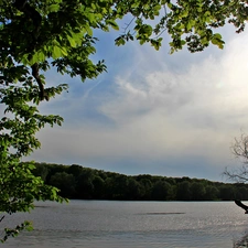 lake, viewes, Sky, trees