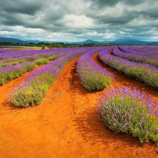 lavender, clouds, Sky, Sand