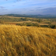 Sky, corn, Upland