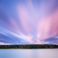 water, color, Sky, forest