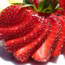 Strawberry, slices