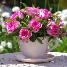cup, roses, small bunch