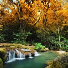 small, waterfall, trees, viewes, autumn