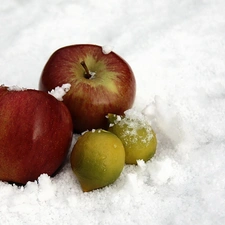 snow, apples, Amaranth