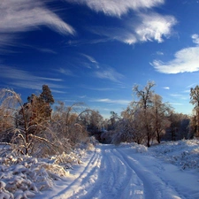 trees, clouds, snow, viewes