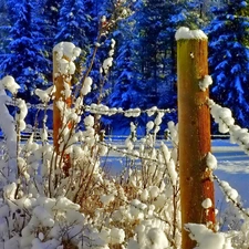 winter, Fance, snow, forest