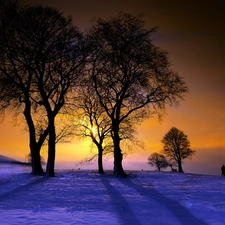 trees, west, snow, winter, viewes, sun