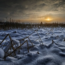 snow, winter, sun, field, west