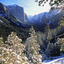 snow, Mountains, woods