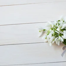 boarding, small bunch, snowdrops